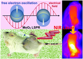 Graphical abstract: Metallic oxide nanocrystals with near-infrared plasmon resonance for efficient, stable and biocompatible photothermal cancer therapy