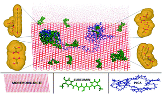 Graphical abstract: Interaction of curcumin in a drug delivery system including a composite with poly(lactic-co-glycolic acid) and montmorillonite: a density functional theory and molecular dynamics study