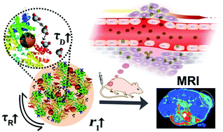 Graphical abstract: Geometrical confinement directed albumin-based nanoprobes as enhanced T1 contrast agents for tumor imaging