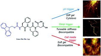 Graphical abstract: Tuning hydrogels through metal-based gelation triggers