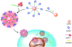 Graphical abstract: Stable, polyvalent aptamer-conjugated near-infrared fluorescent nanocomposite for high-performance cancer cell-targeted imaging and therapy
