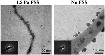 Graphical abstract: Shear-mediated orientational mineralization of bone apatite on collagen fibrils