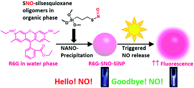 Graphical abstract: S-Nitrosothiols (SNO) as light-responsive molecular activators for post-synthesis fluorescence augmentation in fluorophore-loaded nanospheres