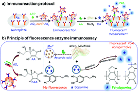 Graphical abstract: In situ synthesis of fluorescent polydopamine nanoparticles coupled with enzyme-controlled dissolution of MnO2 nanoflakes for a sensitive immunoassay of cancer biomarkers