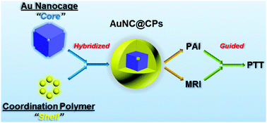 Graphical abstract: Coordination polymer hybridized Au nanocages: a nanoplatform for dual-modality imaging guided near-infrared driven photothermal therapy in vivo