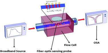 Graphical abstract: Nano-functionalized long-period fiber grating probe for disease-specific protein detection