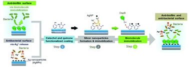 Graphical abstract: Anti-biofouling and antibacterial surfaces via a multicomponent coating deposited from an up-scalable atmospheric-pressure plasma-assisted CVD process