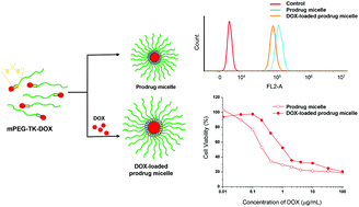 Graphical abstract: A reactive oxygen species–responsive prodrug micelle with efficient cellular uptake and excellent bioavailability