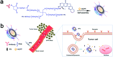 Graphical abstract: A novel self-assembled pH-sensitive targeted nanoparticle platform based on antibody–4arm-polyethylene glycol–pterostilbene conjugates for co-delivery of anticancer drugs