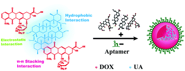 Graphical abstract: A carrier-free dual-drug nanodelivery system functionalized with aptamer specific targeting HER2-overexpressing cancer cells