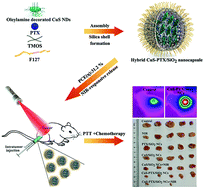 Graphical abstract: Plasmonic CuS nanodisk assembly based composite nanocapsules for NIR-laser-driven synergistic chemo-photothermal cancer therapy