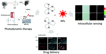 Graphical abstract: Recent advances in iridium(iii) complex-assisted nanomaterials for biological applications