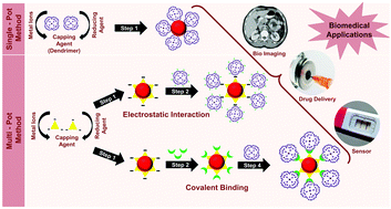 Graphical abstract: Dendrimer as a multifunctional capping agent for metal nanoparticles for use in bioimaging, drug delivery and sensor applications