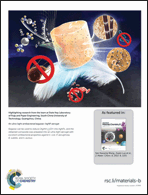 Graphical abstract: Back cover