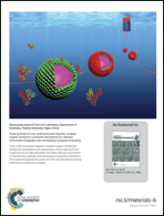 Graphical abstract: Back cover