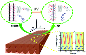 Graphical abstract: The light-switching conductance of an anisotropic azobenzene-based polymer close-packed on horizontally aligned carbon nanotubes