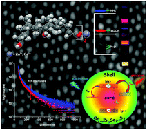 Graphical abstract: Ligand mediated excited state carrier relaxation dynamics of Cd1−xZnxSe1−ySy NCs derived from bile salts