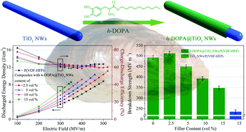 Graphical abstract: Bio-inspired polydopamine coating as a facile approach to constructing polymer nanocomposites for energy storage