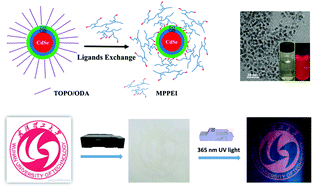 Graphical abstract: Colloidal stable quantum dots modified by dual functional group polymers for inkjet printing