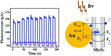 Graphical abstract: Au-nanoparticles-decorated Sb2S3 nanowire-based flexible ultraviolet/visible photodetectors