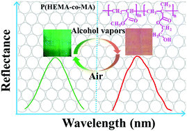 Graphical abstract: Volatile alcohol-responsive visual sensors based on P(HEMA-co-MA)-infiltrated SiO2 inverse opal photonic crystals