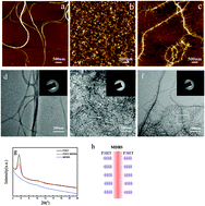 Graphical abstract: Growth and carrier-transport performance of a poly(3-hexylthiophene)/1,2,3,4-bis(p-methylbenzylidene) sorbitol hybrid shish-kebab nanostructure