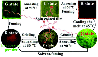 Graphical abstract: Unusual mechanohypsochromic luminescence and unique bidirectional thermofluorochromism of long-alkylated simple DPP dyes