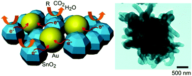 Graphical abstract: In situ gold nanoparticle-decorated three-dimensional tin dioxide nanostructures for sensitive and selective gas-sensing detection of volatile organic compounds