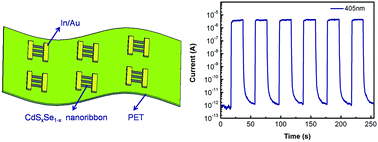 Graphical abstract: One-dimensional CdSxSe1−x nanoribbons for high-performance rigid and flexible photodetectors