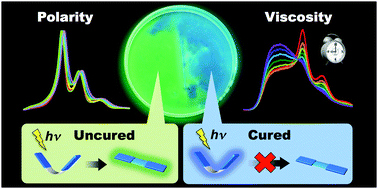 Graphical abstract: Flapping viscosity probe that shows polarity-independent ratiometric fluorescence