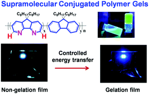 Graphical abstract: Understanding the molecular gelation processes of heteroatomic conjugated polymers for stable blue polymer light-emitting diodes