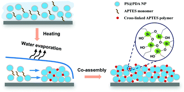 Graphical abstract: Facile fabrication of crack-free photonic crystals with enhanced color contrast and low angle dependence