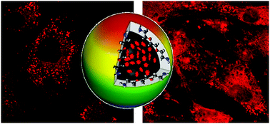 Graphical abstract: Host–guest carbon dots as high-performance fluorescence probes