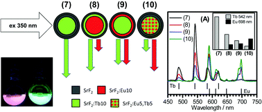 Graphical abstract: Core–shell metal fluoride nanoparticles via fluorolytic sol–gel synthesis – a fast and efficient construction kit