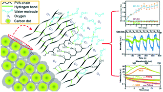 Graphical abstract: Room temperature phosphorescence from moisture-resistant and oxygen-barred carbon dot aggregates