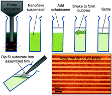 Graphical abstract: Patterned films from exfoliated two-dimensional transition metal dichalcogenides assembled at a liquid–liquid interface