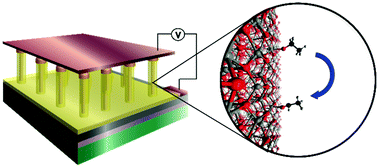 Graphical abstract: Multiple resistive switching in core–shell ZnO nanowires exhibiting tunable surface states