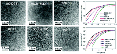 Graphical abstract: A correlation between small-molecule dependent nanomorphology and device performance of organic light-emitting diodes with ternary blend emitting layers