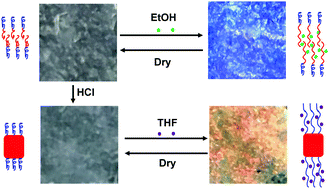 Graphical abstract: A versatile approach to different colored photonic films generated from block copolymers and their conversion into polymer-grafted nanoplatelets