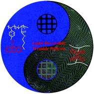 Graphical abstract: Light-reversible hierarchical patterns by dynamic photo-dimerization induced wrinkles