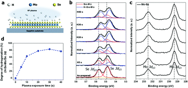 Graphical abstract: Hydrogenation of monolayer molybdenum diselenide via hydrogen plasma treatment