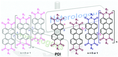 Graphical abstract: Heterologous perylene diimide arrays: potential non-fullerene acceptors in organic solar cells