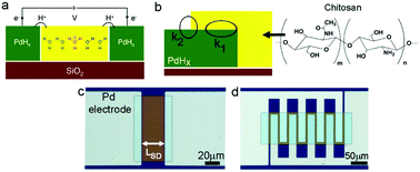 Graphical abstract: Electrical and electrochemical characterization of proton transfer at the interface between chitosan and PdHx