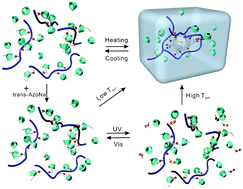 Graphical abstract: Photoswitchable thermogelling systems based on a host–guest approach