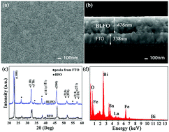 Graphical abstract: Photovoltaic enhancement by Au surface-plasmon effect for La doped BiFeO3 films