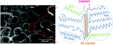 Graphical abstract: Piezoelectric poly(lactide) stereocomplexes with a cholinium organic ionic plastic crystal