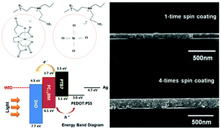 Graphical abstract: The optoelectronic properties of tungsten-doped indium oxide thin films prepared by polymer-assisted solution processing for use in organic solar cells