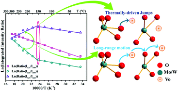 Graphical abstract: Unraveling the correlation between oxide-ion motion and upconversion luminescence in β-La2Mo2O9:Yb3+,Er3+ derivatives