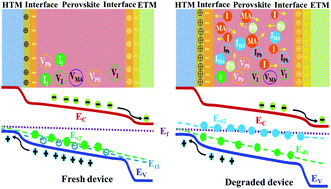 Graphical abstract: Degradation of encapsulated perovskite solar cells driven by deep trap states and interfacial deterioration