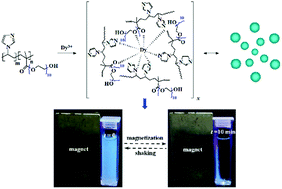 Graphical abstract: Functional nanoscale metal–organic particles synthesized from a new vinylimidazole-based polymeric ligand and dysprosium ions